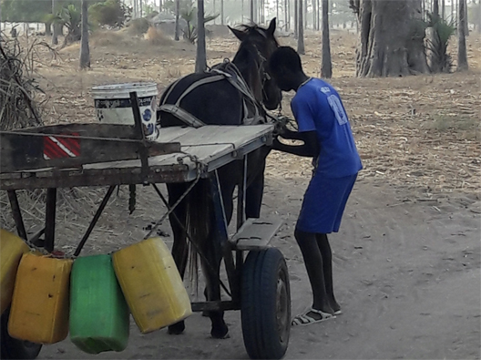 senegal charette