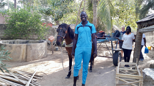 senegal ferdinand